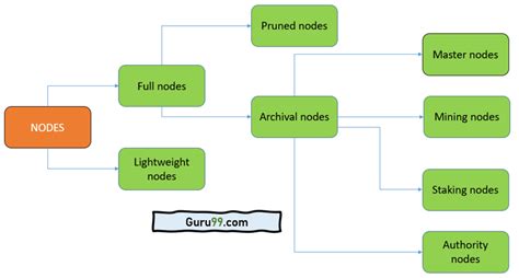 Types Of Node In Blockchain