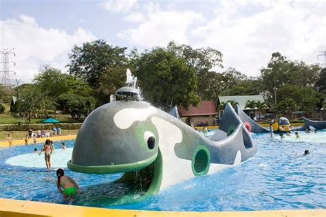 Parque Comfama Copacabana Lo Que Se Debe Saber Antes De Viajar