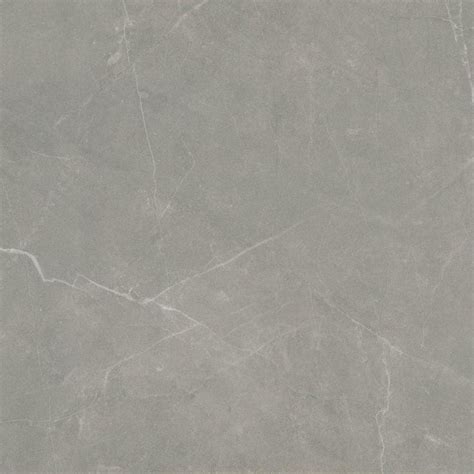 EMSER TILE Sterlina Dove 23 62 In X 23 62 In Matte Marble Look