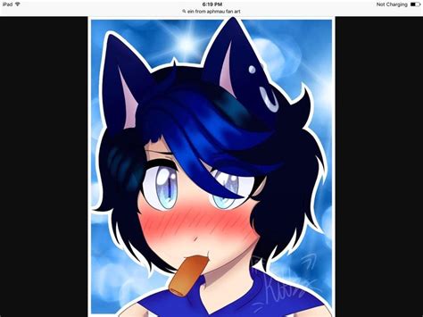 🐾🐺💙ein💙🐺🐾 Aphmau Amino