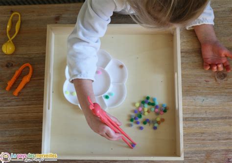 Activit S De Motricit Fine Avec Des Pompons Et Des Pinces Linge