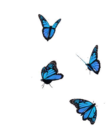 Butterfly Blue Sticker Butterfly Blue Transparent Discover Share