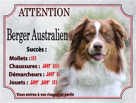 Plaque Humour Attention Au Chien En M Tal Aluminium Panneau Berger