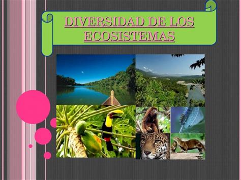 PPT Diversidad De Los Ecosistemas DOKUMEN TIPS