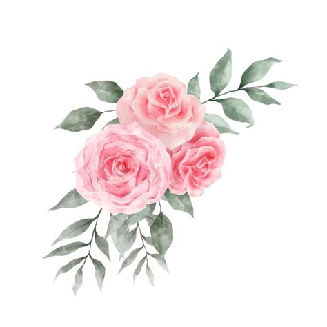 Vetor De Aquarela De Flores Rosas Cor De Rosa E Vermelho Isolado No