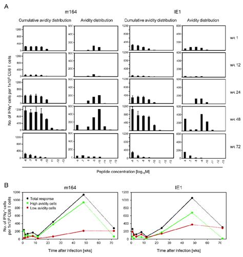 Kinetics Of M164 And IE1 Epitope Specific Functional Avidity Patterns