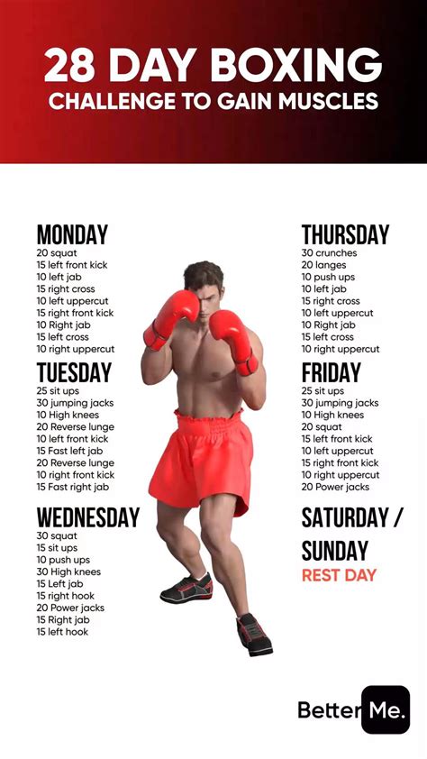 Boxer Power Workout Artofit