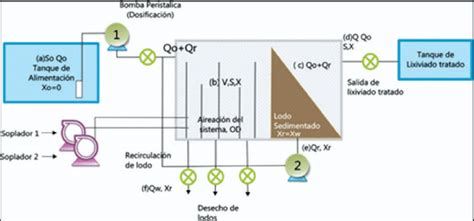 Modelo F Sico Del Reactor Flujo Pist N De Lodos Activados Con