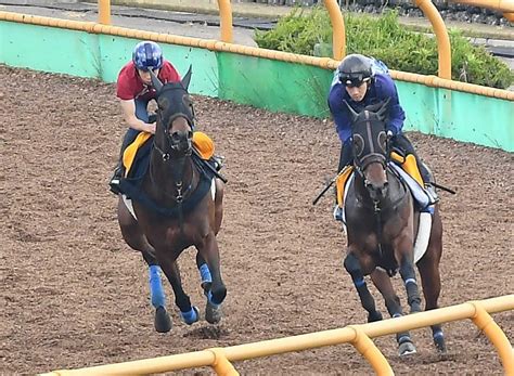 【函館スプリントs】キミワクイーン 態勢万全 奥村武師「かなりいい状態で競馬に向かえる」 競馬ニュース Netkeiba