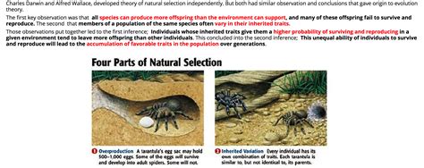 Solved Charles Darwin and Alfred Wallace, developed theory | Chegg.com