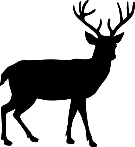 Svg S Ugetier Tier Troph E Hirsch Kostenloses Svg Bild Symbol