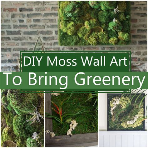 23 DIY Moss Wall Art To Bring Greenery DIY Crafts