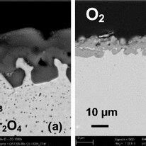 Sem Bse Images Of The Oxide Scale On Uncoated Crofer Apu In Cross