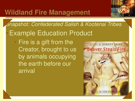 Ppt Wildland Fire A Natural Process Powerpoint Presentation Free