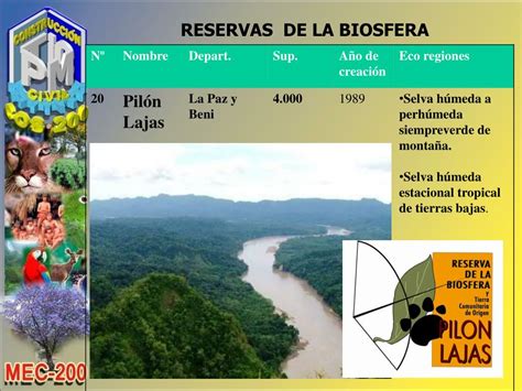 Ppt Ecosistemas En Bolivia Powerpoint Presentation Free Download