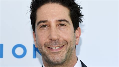 David Schwimmer Net Worth updated December 2023) Age, Bio...