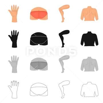 Vector Illustration Of Body And Part Logo Collection Of Body And