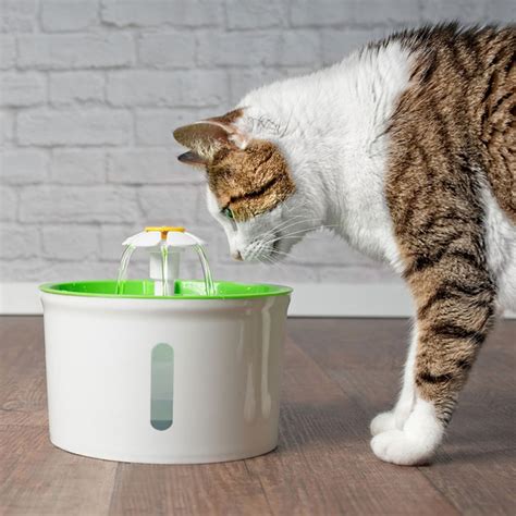 La meilleures des fontaines à eau pour Chat Catit