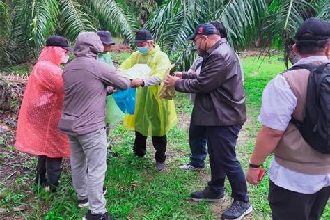 Tuntaskan Kasus Mafia Tanah Di Langkat Kejaksaan Panggil Ahli Dari Ipb