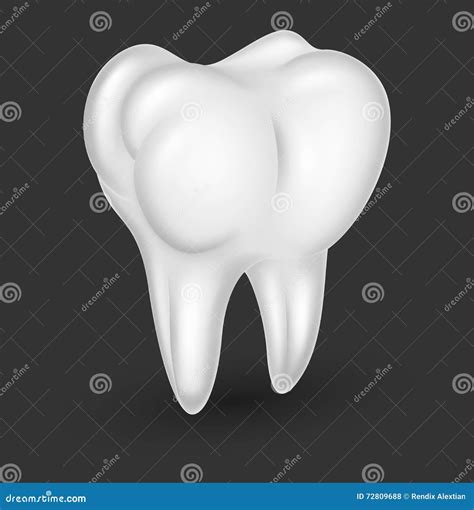 Human Molar Teeth Realistic Stock Illustration Illustration Of Icon