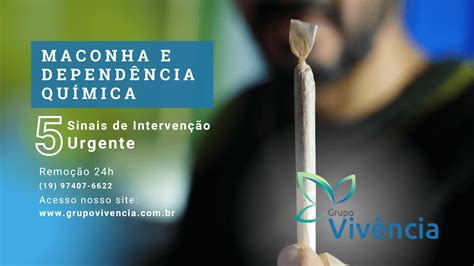 Maconha E Dependência Química 5 Sinais De Intervenção Urgente Grupo