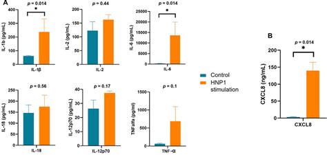 cytokine secretion   supernatants   vitro cocultures