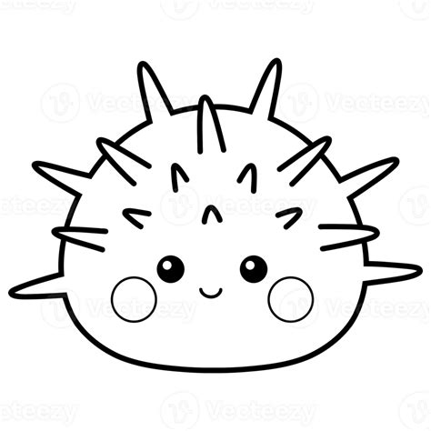 Cutie Sea Urchin 49081093 Png