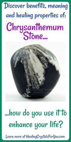 Chrysanthemum Stone Meaning Properties And Powers Chrysanthemum Stone