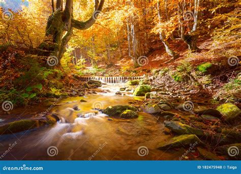 Incrível Paisagem De Outono Rio Das Montanhas Pequenas Em árvores