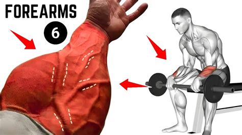 6 Best Exercises For Bigger Forearms 6 Min A Day To Improve Your