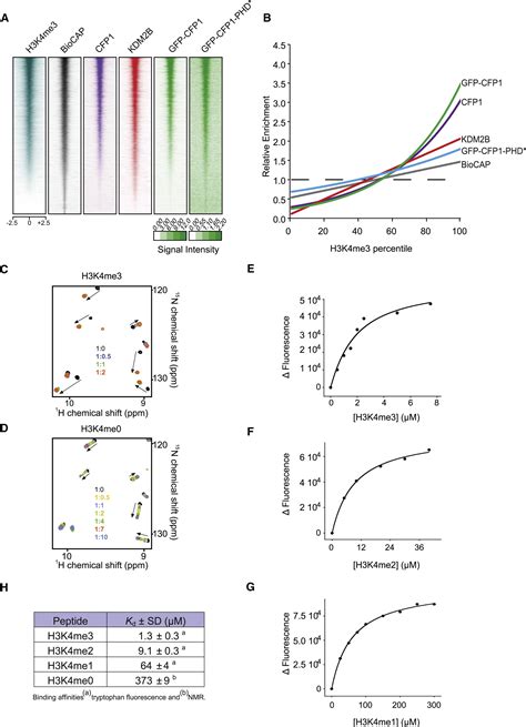 The Set Complex Selects Actively Transcribed Target Genes Via