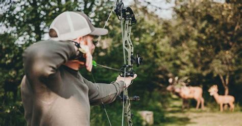 Bow Review Elite Ethos Grand View Outdoors