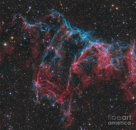 Ngc 6995 The Bat Nebula Photograph By Michael Miller Fine Art America