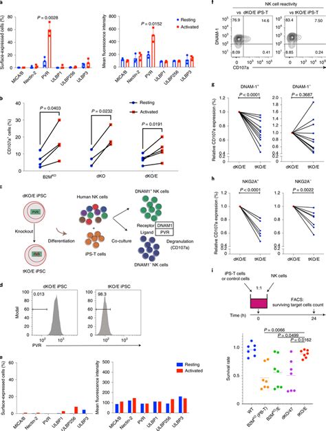 TKO E IPS T Cells Reduced The Reactivity Of DNAM 1 NK Cells A NK