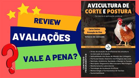 REVIEW AVICULTURA DE CORTE E POSTURA DA TEORIA À APLICAÇÃO PRÁTICA