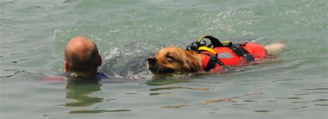 Sics Scuola Italiana Cani Da Salvataggio Idroscalo