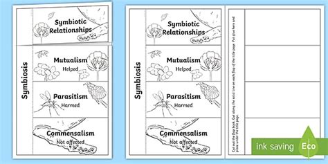 Symbiotic Relationships Flap Book For 3rd 5th Grade Twinkl