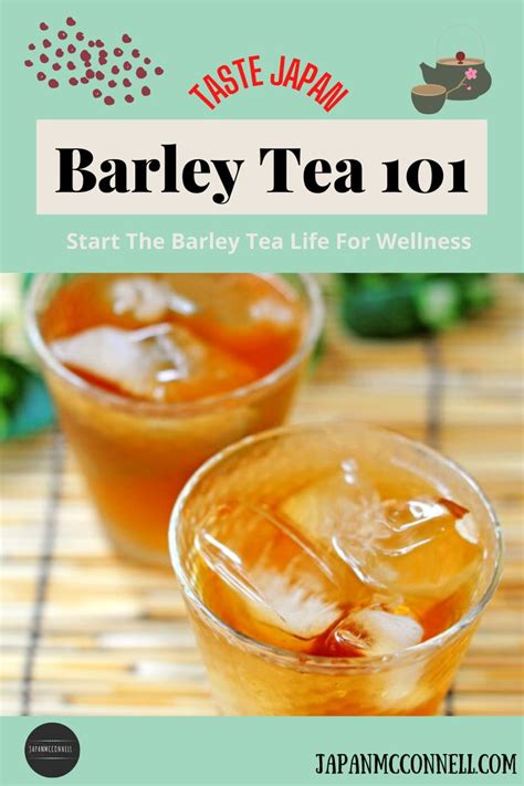 Barley Tea Health Benefits And Brewing Guide