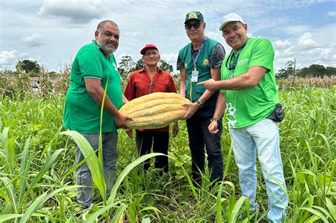 ADS avalia capacidade produtiva de agricultores para negociação por