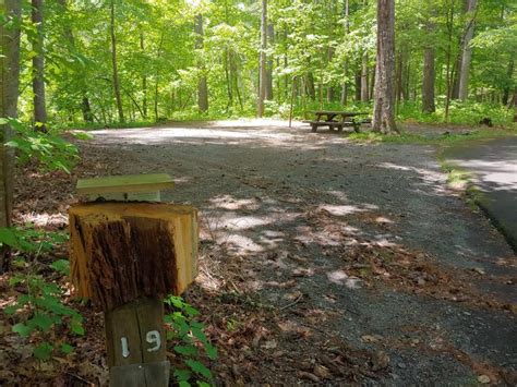 Site 19 Jacobs Creek Campground Tn