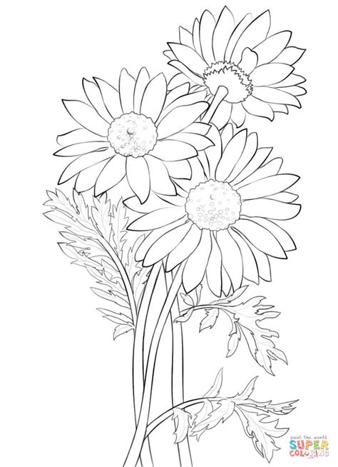 Bouquet Of Daisies Coloring Pages Coloring Pages