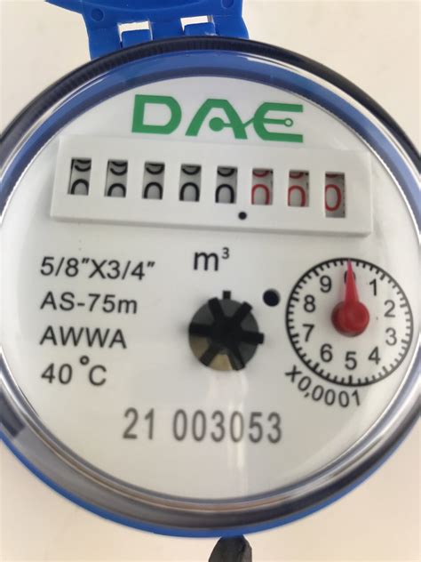 Dae As Mp Water Meter With Pulse Output Npt Couplings