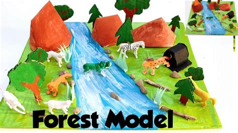 How To Make Forest Model Tlm For Forest Model School Project