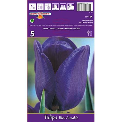 Tulip Blue Amaible 67705 Sibulad Osta Soodsamalt GradinaMax Ee