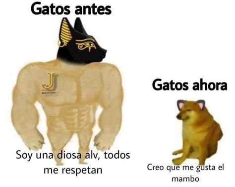 Meme De Gatos Antes Y Gatos Ahora Meme Subido Por Aristerv Memedroid