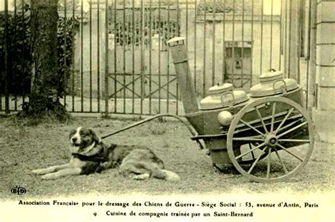 Le premier mémorial dédié aux Chiens héros civils et militaires a