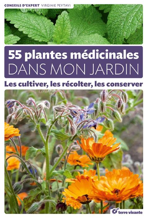 Calaméo 55 plantes médicinales dans mon jardin