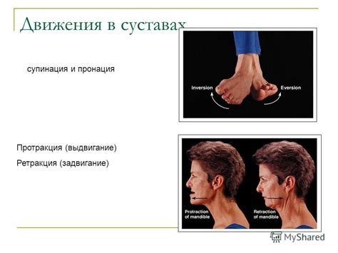 Презентация на тему: "Общая артросиндесмология Доц. Боймиструк И.И ...