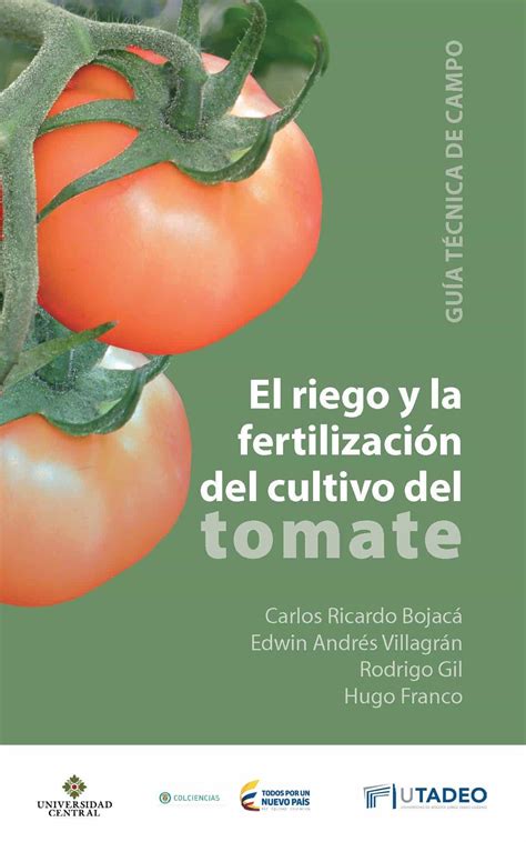 El Riego Y La Fertilización En El Cultivo Del Tomate Guía Técnica De