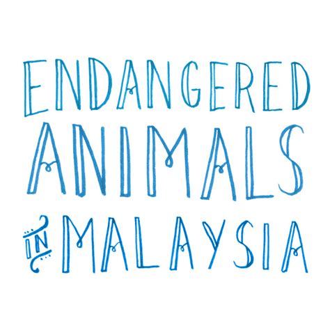 Endangered Animals in Malaysia - Rachel Chew - Design, Lettering ...